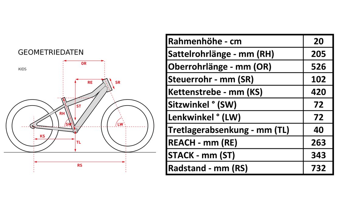 Carver Strict 16 W 2019 16 Zoll kaufen Fahrrad XXL