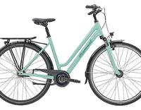 fahrrad diamant achat