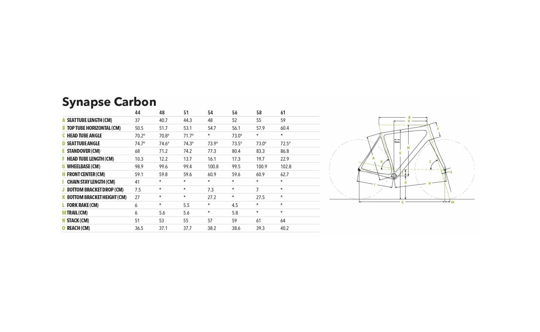 synapse carbon disc 105 2019