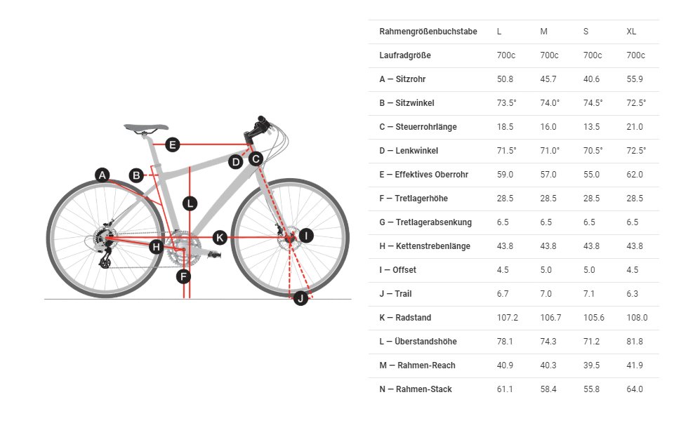 trek fx sizing chart