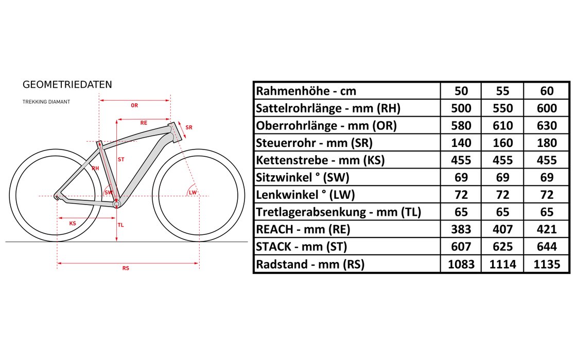 Carver Cityzen 130 28 Zoll günstig kaufen Fahrrad XXL