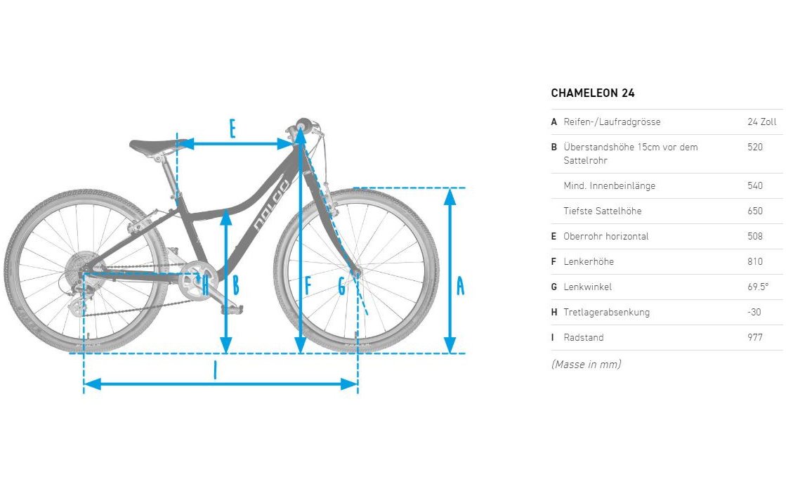 Naloo Chameleon 2020 24 Zoll bestellen Fahrrad XXL